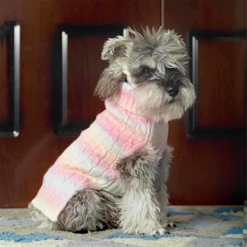 ペット服 猫犬用 針織セーター プルオーバー ベスト ユニセックス 毛糸素材 彩虹ピンク 紳士グレー ビーチブルー S M L XL サイズ かわいい カラフル カジュアル ペットウェア 犬猫服 セーター トップス 軽量 伸縮性 通年 室内用 アウトドア