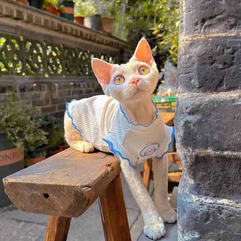 ペット服 猫 犬 通用 夏 春夏 バック トップス 背心 プリンセス かわいい 透気性 弾力性 伸縮性 涼感 接触冷感 軽量 ポリエステル 再生繊維 小型犬 小型猫 無毛猫 玉桂 ピンク系 アイボリー 玉桂色 エッグロール プリント ロールアップ 袖なし