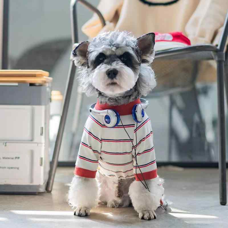 犬用服 ユニセックス 夏用 薄手 条紋 四つ足タイプ 防毛抜け ビションプフリュー シュナウザー 中小型犬 赤青 黄色青 ポリエステル 軽量 通気性 吸湿速乾 かわいい ペット 服 犬服 ドッグウェア