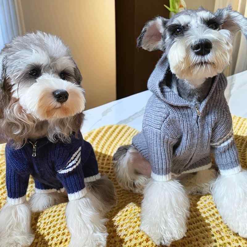 ペット服 ユニセックス 秋冬 厚手 ニットセーター 犬猫用 毛糸素材 暖かみ グレー 宝藍 欧米スタイル 雪耐冷耐寒 ビートル コーギー ウェストハイランドホワイトテリア 服 衣服 軽量 伸縮性 普段使い アウトドア