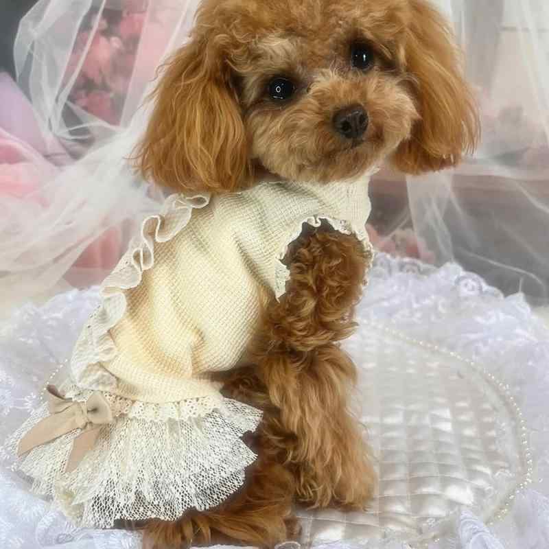 ペット ドレス 猫用 犬用 かわいい プリンセス レース ウェディング ドレス 誕生日 パーティー ドレス コットン混紡 軽量 通気性 ライトイエロー XS S M L XL サイズ展開 カジュアル ホームパーティー かわいい プリンセス風 レース装飾