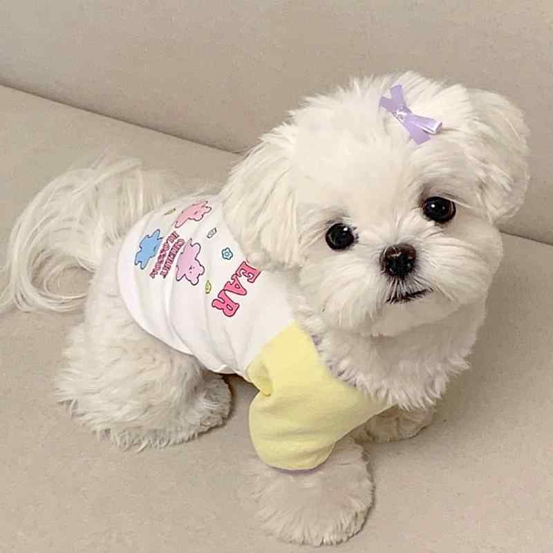 犬 服 夏 薄手 小型犬 コットン 素材 背心 トップス ユニセックス かわいい プリント 柄 通気性 軽量 犬種 マルチーズ テディ ビション ポメラニアン ヨークシャーテリア 猫 ペット 服 夏服 涼しい 吸湿速乾 室内用 散歩用 ピクセル柄 カラフ