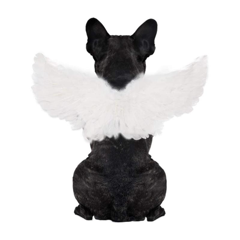 ペット コスチューム 天使 翼 胸背 付き 猫 犬 小型犬 変身 服 ハロウィン クリエイティブ 衣装 毛毡布 素材 黒 白 カラー ユニセックス 飾り アクセサリー 欧米 スタイル かわいい ファンタジー 仮装 ペット ファッション(x3)