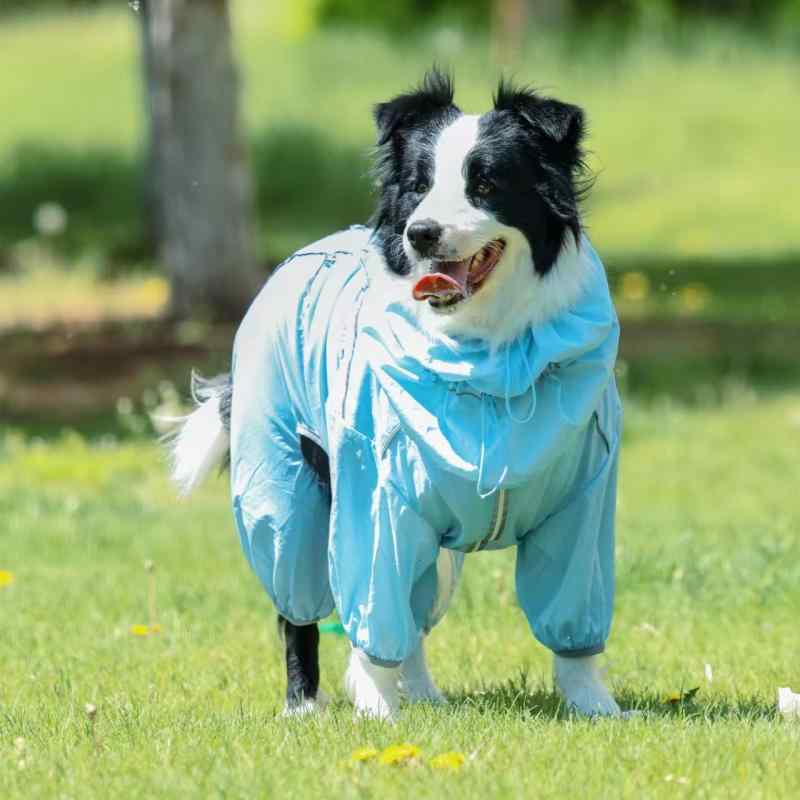 犬用 四脚服 秋冬 犬服 ラブドール コーギー 柴犬 大型犬 ペット服 屋外用 防風 防水 PU素材 ブルー グリーン ピンク パープル 伸縮性 耐久性 ユニセックス 犬用スキンガード 秋季犬用アウター ペットアウトドアウェア 防寒 四つ足カバー 犬用レ