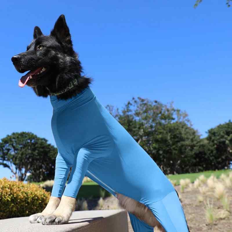ペット服 ユニセックス 中型犬 大型犬 柴犬 猫用 金毛 ラブラドール 薄手 伸縮性 四脚カバー 防毛 珊瑚フリース 素材 軽量 部屋着 カジュアル スタイル 湖ブルー ローズレッド パープル ブラック カラーバリエーション S M L XL XXL サ