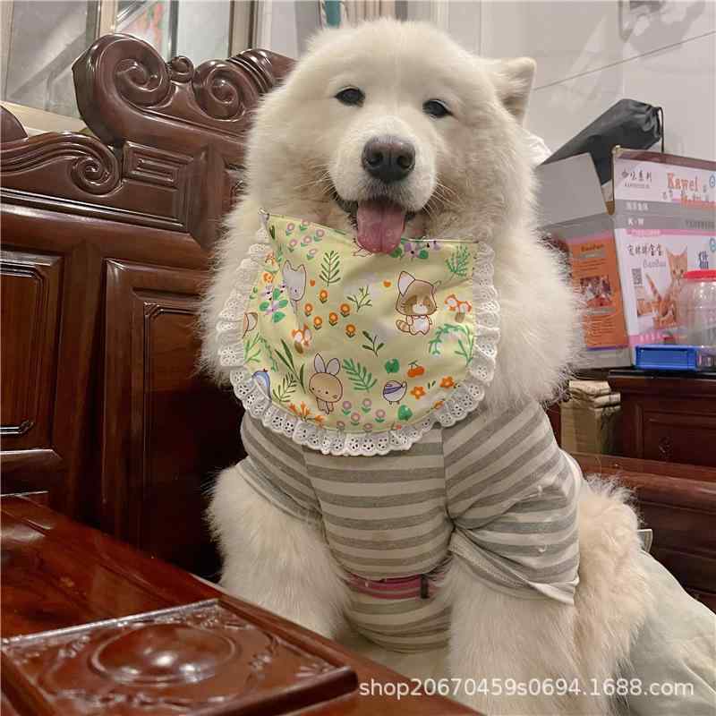 犬用 口水巾 防水 ビブ 首輪 タオル かわいい プリント コットン ポリエステル 混合素材 大型犬 金毛 ラブラドール ハスキー サモエド ピンク ブルー グリーン イエロー ストライプ フラワー ベア ラビット フルーツ モチーフ 四季 通年 普段使
