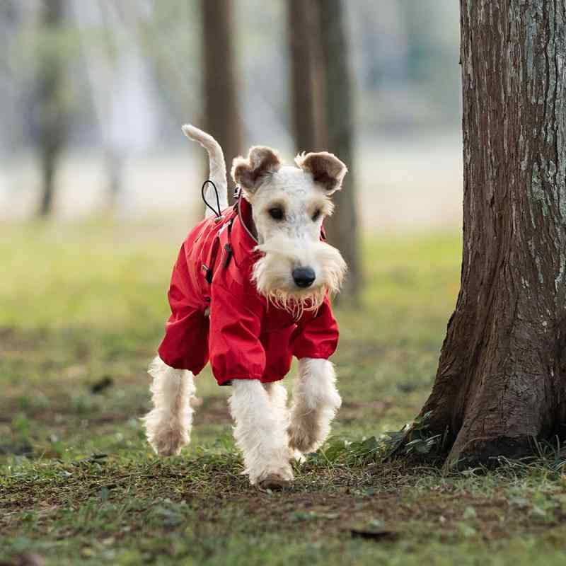 ペット服 犬用雨具 中小型犬 四脚カバー 防水 撥水 軽量 ポリエステル 素材 反射素材 英倫スタイル 深灰 大紅 紫 橙黄 グレー ブラック 夏 冬 春 秋 通年 屋外 散歩 通用 サイズ豊富