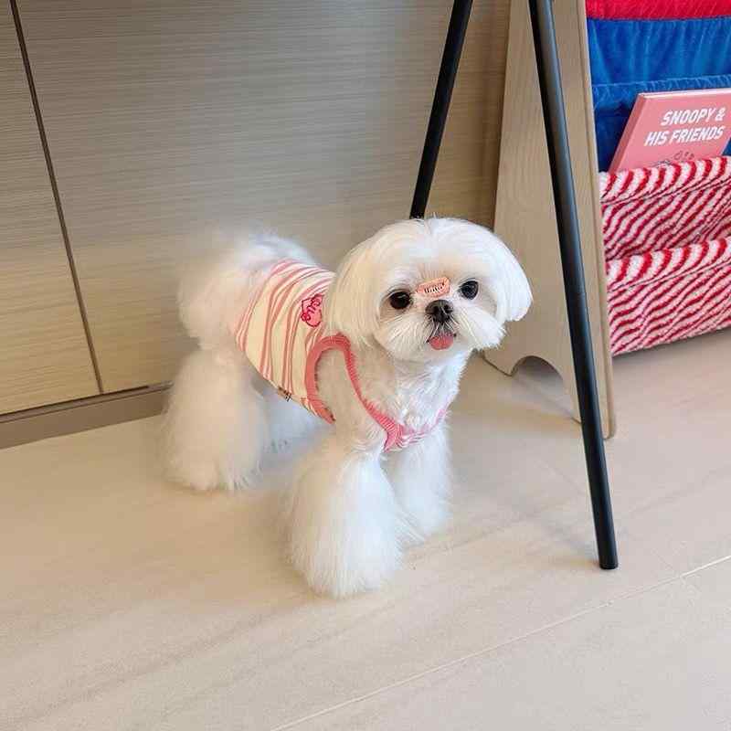 犬用服 夏用 かわいい ストライプ タンクトップ 吊り紐 防紫外線 薄手 通気性 小型犬 ビションフリーゼ テディ マルチーズ ブラック ピンク 涤綸 軽量 伸縮性 吸湿速乾 春夏 ペットウェア