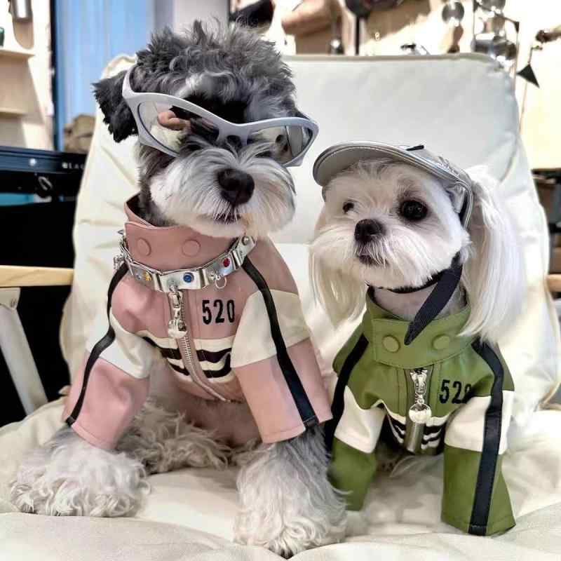 Custom-Made - 犬用 秋冬 服 ジャケット ライダース コート マルチーズ ヨークシャーテリア シュナウザー ビションフリーゼ テディ ポメラニアン 柴犬 グリーン ピンク PU素材 軽量 暖か 通年対応