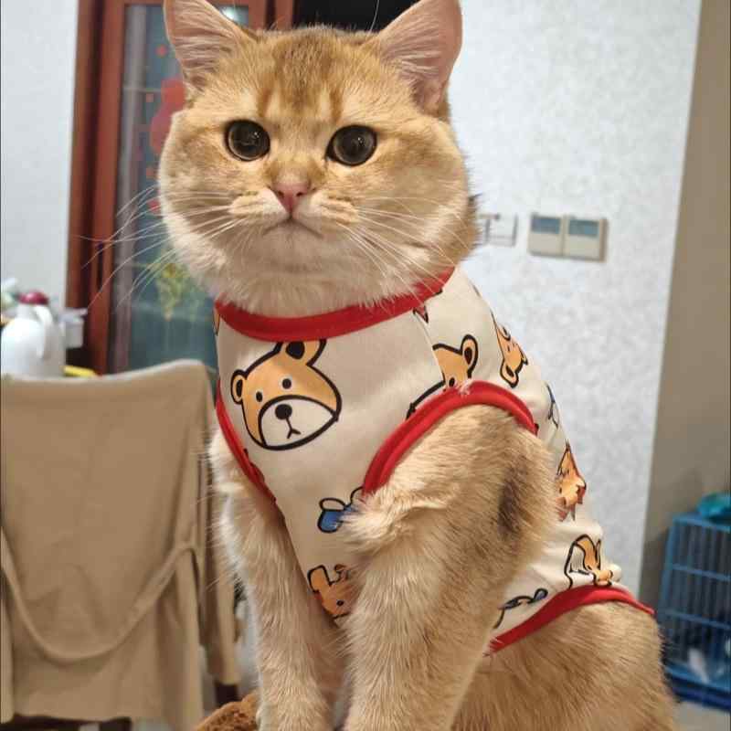 Other Medium-Sized Dog - ペット 服 猫用 防毛抜け 夏服 薄手 背心 コットン風 綿素材 かわいい 動物プリント ユニセックス 軽量 通気性 吸湿速乾 接触冷感 赤縁 白縁 緑花柄 青花柄 白ドッグ柄 赤 白 緑 青 花柄 ドッグ柄 猫背心 猫服 ペットウェア 夏用 室内用 散