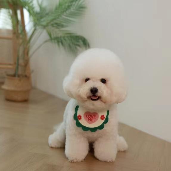 ベビー よだれかけ 口拭き かわいい 撞色 ハート柄 ピンク グリーン 赤 コットン 綿素材 赤ちゃん 子供用 通年 日常使い 吸収性 柔らか 刺繍加工 かわいい デザイン プレゼント ギフト ベビーグッズ 口周り 保護 軽量 洗いやすい