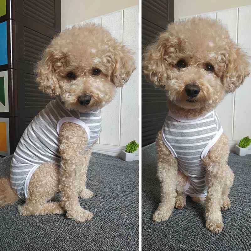 小型犬 服 ユニセックス 純綿 ストライプ 腹部保護 背心 去勢後 看護服 薄手 軽量 柔らかい 肌触り 浅灰色 通年 かわいい ペット 犬用 タイディ ビション 保護具 回復期 ケアウェア コットン 素材 快適 フィット シンプル デザイン
