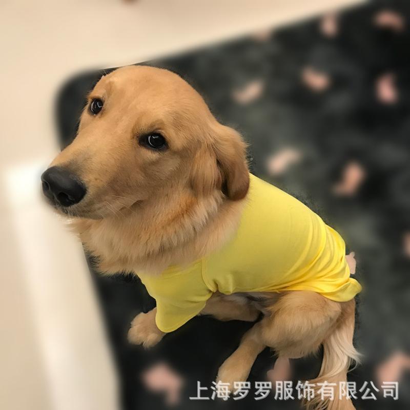 ペット Tシャツ 犬用 トップス ユニセックス コットン素材 単色 ブラック ホワイト ブラウン レッド オレンジ イエロー グリーン グレー ピンク マゼンタ ライトブルー ラグーン ネイビー ターコイズ パープル ラベンダー コーラルピンク ベージュ