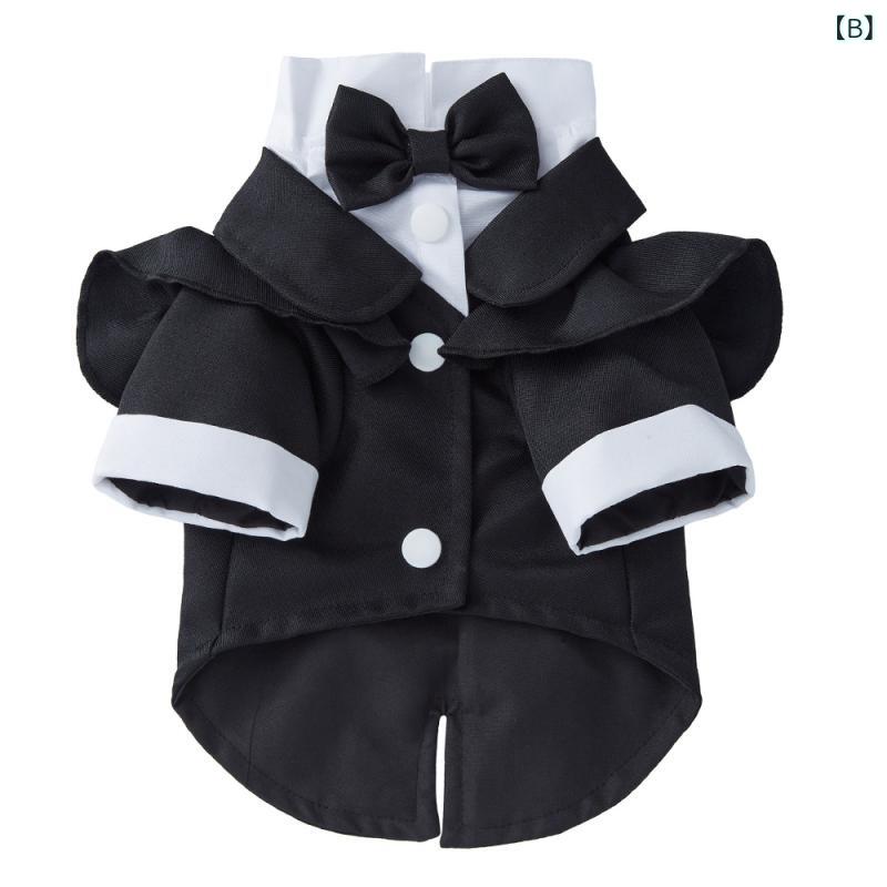 �ڥå��� ��ǭ�� ��˥��å��� ���� ����� �η��դ� ���� ���� ??�Ǻ� ���ѥ������� �������ѡ��ƥ��� �ե����ƥ��Х� ���� ǭ�� �ڥåȥե��å���� ��ǯ�б� ���� ��Ŭ ���襤�� ��˥С����� �ڥåȥ�����