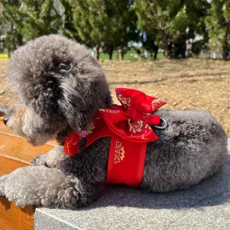 ペット 服 ユニセックス 犬 猫 夏 用 薄手 チャイナドレス 風 結婚 式 礼服 赤 色 赤い 尻尾 柄 富貴花 柄 軽量 布 素材 かわいい デザイン 夏 向け 涼しい ペット 衣類 セレモニー ドレス ペット ファッション 通年 対応 ユニバーサル