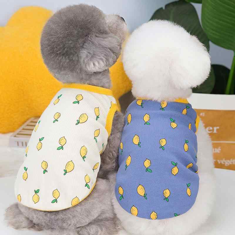 ペット服 中小型犬用 ユニセックス 薄手 快適 春夏 外出着 セットアップ 背心 トップス メッシュ素材 吸湿速乾 通気性 軽量 伸縮性 米色 ブルーグレー S M L XL XXL サイズ展開