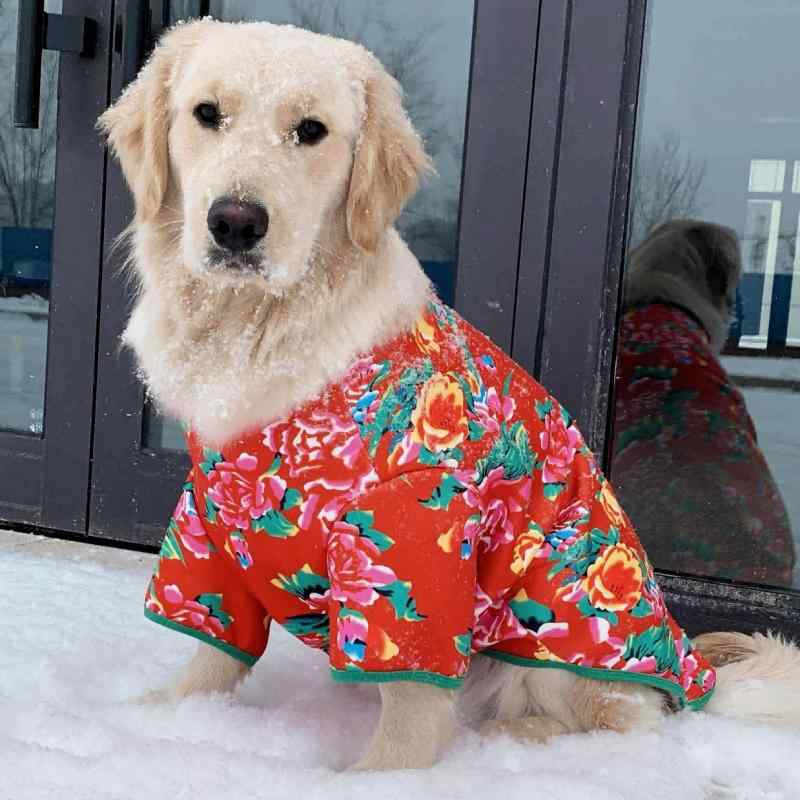 ペット服 長袖猫用 花柄綿コート かわいい 冬用 保暖 防風 防毛抜け 汎用 小中大型 赤系 花柄 コットン混 軽量 背心 卡通風 コスチューム 犬猫対応 暖か素材 室内外