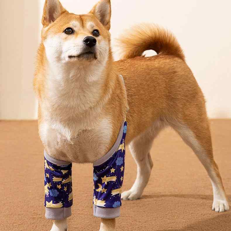 犬用 膝保護 肘保護 関節ガード 防汚 防埃 保護カバー ペット服 犬服 中型犬 大型犬 通用 ポリエステル 素材 ブルー グレー イエロー 軽量 伸縮性 普段使い カジュアル スタイル