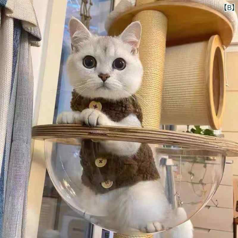 �ڥå��� ǭ�� ���� ���襤�� ���� ����� ��˥��å��� ���� ���åȥ� �Ϲ� �٥ǥ� �ݥ��˥��� �������� �ɿ� �㿧 ���� ���餫�� �Ȥ��Ǻ� ������ �����ȥɥ� ��˥С�����ե��å�