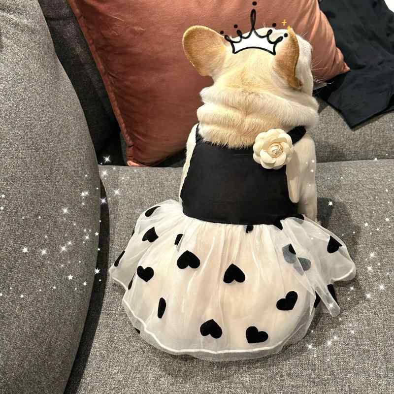 ペット 服 スカート 犬猫用 法斗 八哥 シュナウザー 小型犬 幼犬用 夏服 ポリエステル ブラック 休闲 ユニセックス S M L XL XXL 3XL