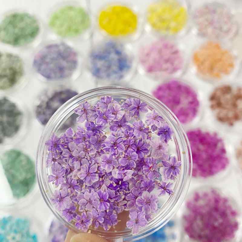 ネイルアート キット ドライフラワー プリザーブドフラワー 押し花 真花 装着式ネイル 真花 素材 珍珠 ステッカー ラメ 雲母粉 花柄 デザイン レトロ かわいい スイート チャイナ風 フレッシュ シンプル アメリカン クリスマス ラグジュアリー in