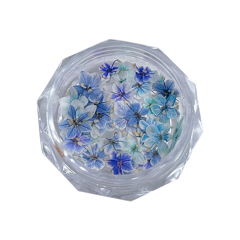 ネイル アクセサリー ミニ ドライフラワー 天然 押花 乾燥花 花苞 混彩 かわいい 小清新 花柄 ステッカー 素材 春暖花開 煙紫粉黛 靛藍彩雀 紫色系 モネ ガーデン 四色セット