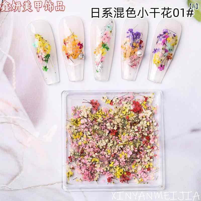 ネイル アクセサリー ドライフラワー 飾り 小さな花びら 指甲 装飾 真花 デザイン 混色 レース 花柄 ネイル ステッカー 春夏 小さな花 清新 甘い 淡い ロマンチック ブルー 花びら シール 花 モチーフ シンプル かわいい ネイルアート 装飾 ス