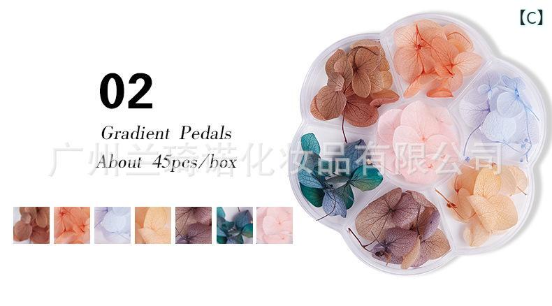 �ͥ��� �ǥ��졼����� ���� ������ ���۲� ����ǡ������ �ɥ饤�ե� ���ƥå��� ���饭�� �Ǻ� ������ �������� ���襤�� �ѡ��� 3 ���� �����