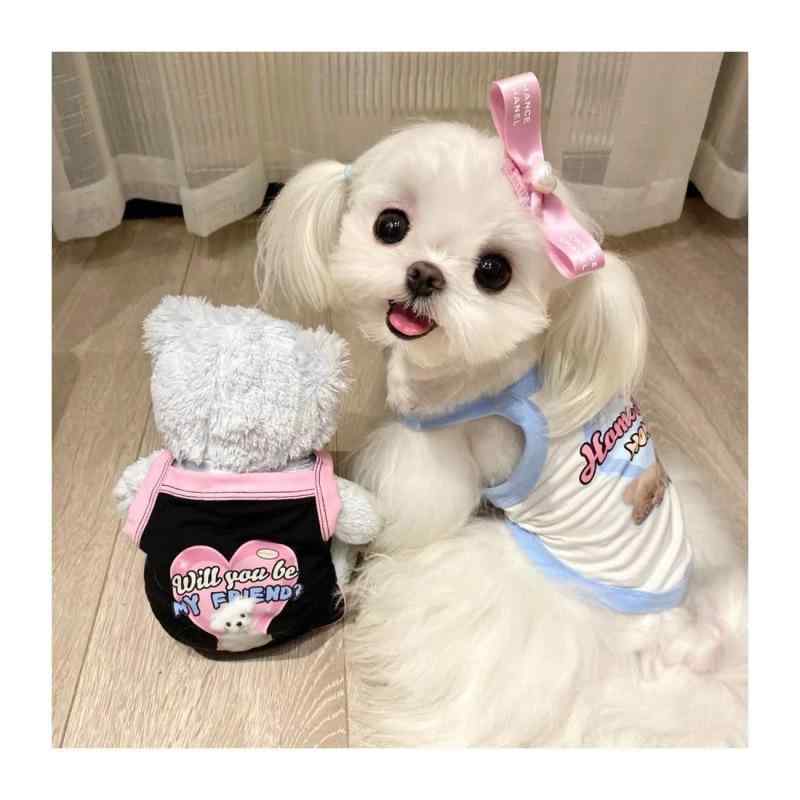ペット 服 ベスト 犬用 秋冬 小型犬用 マルチーズ ビションフリーゼ トイプードル ポメラニアン 女の子 普段使い カジュアル・カテゴリ: 寵物服・スタイル: カジュアル・主な素材: ポリエステル・カラー展開: 白拉藍-愛心睡熊, 白拉粉-愛心睡熊, D41#白拉粉, D41#白拉藍, 白拉粉-D30粉, 白拉藍-D30粉, 白拉粉D39, 白拉藍D39, 白拉紫 mommy, 白拉橘粉 mommy, 白拉紫daddy, 白拉橘粉 daddy, 白拉橘粉-熊孩子, 白拉紫-熊孩子, 白拉粉-黒色狗, 白拉藍-黒色狗, 白拉粉-三小只, 白拉藍-三小只, 白拉桔 三小只・サイズ展開: S（0.5-2kg）, M（2-3kg）, L（3-4kg）, XL（4-5.5kg）, XXL（6-9kg）