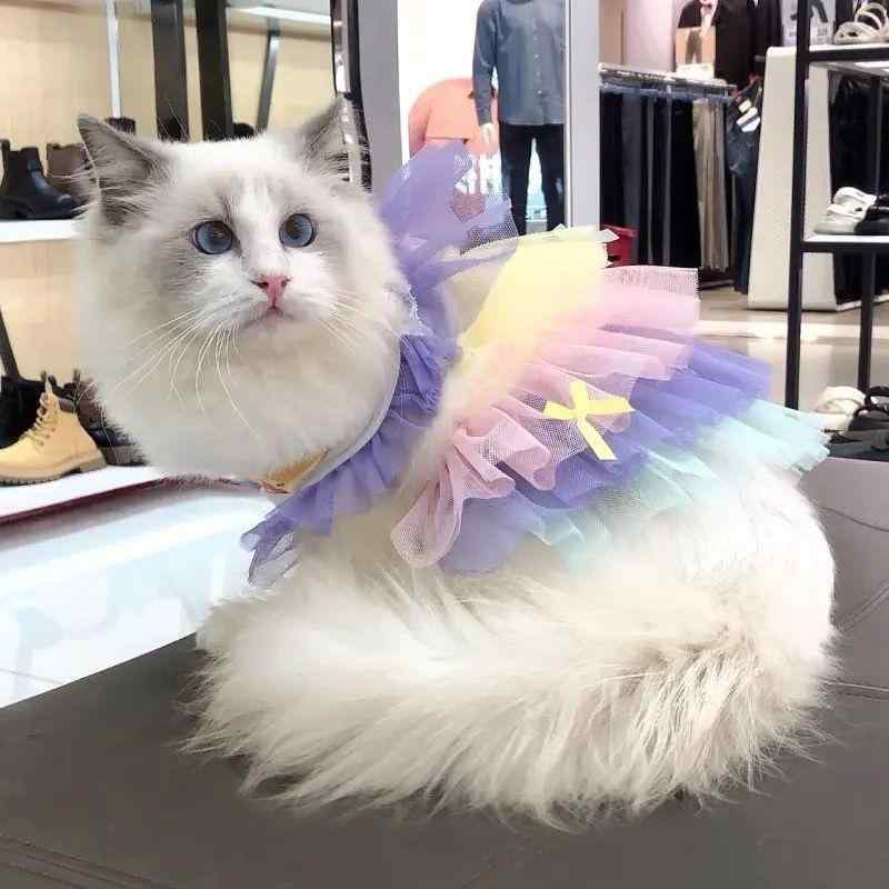 ペット 服 ワンピース 女の子 夢かわいい レース チュール 涼しい 薄手 オールシーズン・素材: ポリエステル・カテゴリ: ペット用スカート・性別: ユニセックス・カラー: ドリームケーキ・サイズ展開: XS（目安1kg前後）、S（目安1.5-2kg前後）、M（目安2.5-3.5kg前後）、L（目安4-5kg前後）、XL（目安5.5-6.5kg前後）