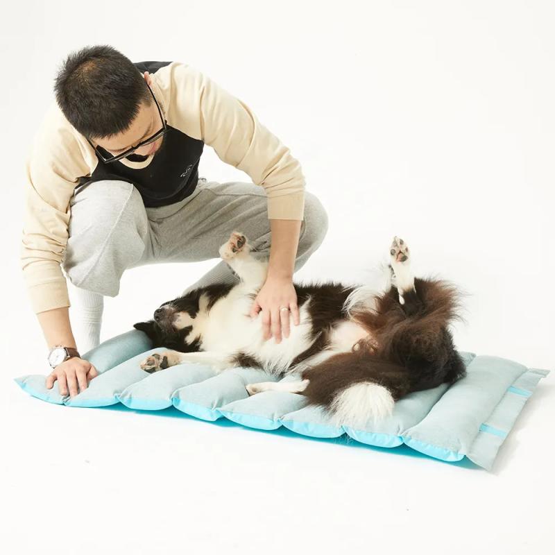 ペット用マット 男の子 女の子 接触冷感 冷却マット 涼感マット 犬用 猫用 キルティング 持ち運び 柔らかい 軽量 通気性 洗える 滑り止め オールシーズン キャンプ アウトドア 室内用・素材: 布類・製品カテゴリ: 冷却マット・カラー展開: 灰色、橘黄色、浅藍色・サイズ: 100cm*66cm*3cm・対象: 犬