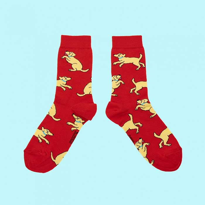 ڸ 3,980߰ʾ ̵ ֥դۥ奼å   ǥ  襤  ե 롼 Coucou Suzette ֥ɡ å Labrador Socks å Red