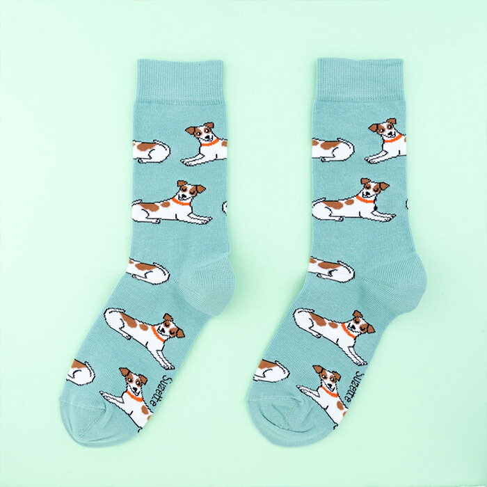 ڸ 3,980߰ʾ ̵ ֥դۥ奼å   ǥ 襤   롼 Coucou Suzette åå å Jack Russel Socks  ֥롼