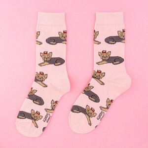 ڸ 3,980߰ʾ ̵ ֥դۥ奼å   ǥ  襤  ե 롼 Coucou Suzette 衼 ƥꥢ å Yorkshire Socks ԥ PInk