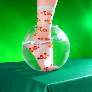 ڸ 3,980߰ʾ ̵ ֥դۥ奼å   ǥ 롼  ե ե  Coucou Suzette 쥯ޥΥ  å Clownfish Sheer Socks