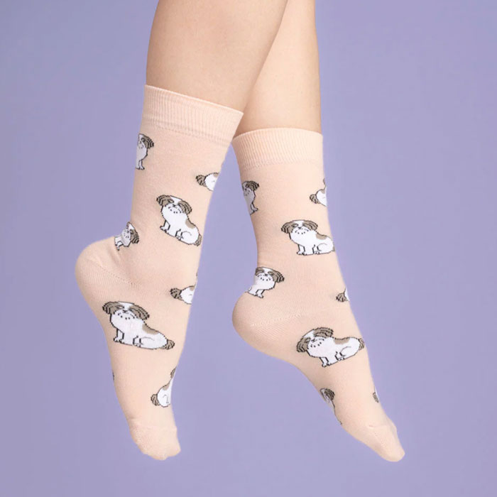 ڸ 3,980߰ʾ ̵ ֥դۥ奼å   ǥ  襤  ե Coucou Suzette  å Shih Tzu Socks ԥ Salmon Pink