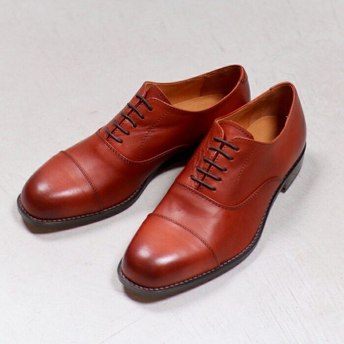 パドローネ ビジネスシューズ メンズ パドローネ 革靴 バルモラル ストレートチップ シューズ キャメル BALMORAL STRAIGHTTIP SHOES CAMEL 2020秋冬新作