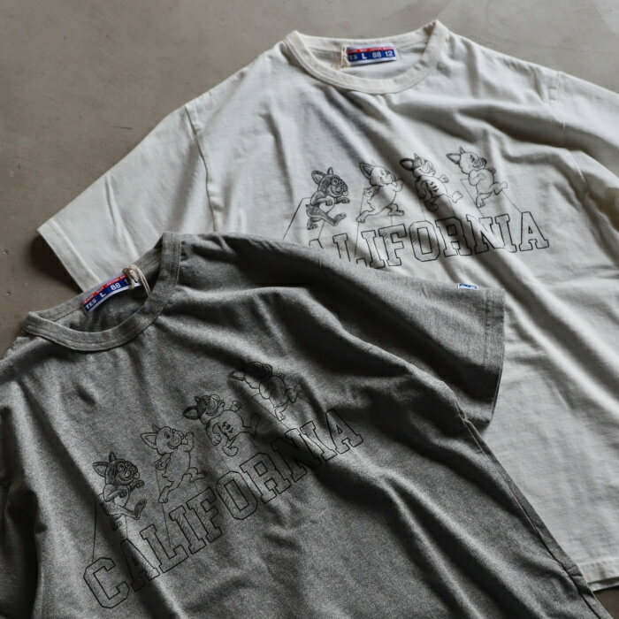 楽天市場】dte in california（Tシャツ・カットソー｜トップス