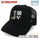 父の日 ギフト プレゼント 黒 ( キャップ )( 親父だもの キャップ )( 父 ) ビール スイーツ 食べ物 おつまみ 焼酎 還暦 父親 おもしろ 帽子 プ...