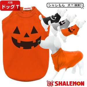 ハロウィン 犬服 コスチューム 犬T ドッグ Tシャツ ペット 服 【 犬用Tシャツ 】【 パンプキン 】 おもしろ プレゼント 雑貨 【日本製】クリスマス ワンちゃん しゃれもん