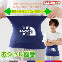 かわうそ アニマル おもしろ 腹巻 ( はらまき )( かわうそ フェイス 選べるカラー ) 防寒インナー かわいい あったか コツメカワウソ プレゼント 誕生...