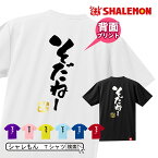 流行語 大賞 年間 1位 ノミネート パロディ おもしろ Tシャツ 2018 ( 背面プリント )( 選べる8色 Tシャツ そだねー 北 ) 新語 メンズ 面白い プレゼント 雑貨 グッズ しゃれもん