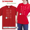 クリスマス コスプレ おもしろ サンタ tシャツ【 あのね サンタさんではありません 】【 選べる パパ ママ 】変身 面白 コスチューム 雑貨 男性 女性 メンズ レディース 雪だるま サンタ 飾り イルミネーション より 仮装 衣装 面白 プレゼント ペア ファミリー しゃれもん