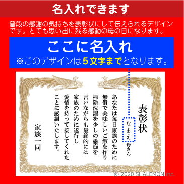 母の日 名入れ バッグ プレゼント 実用的 ギフト 女性 【 トートバッグM 】【 名入れ 表彰状 】 かばん キャンバス トート お出かけ用 エコバッグ 通勤バッグ 花 母親 カーネーション 花束 バラ スイーツ おしゃれ ママ キッチン しゃれもん