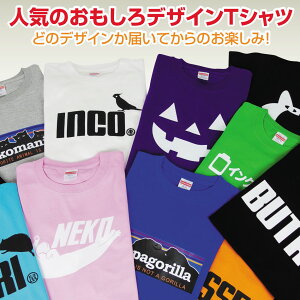 福袋 初売り 訳あり おもしろ 【 Tシャツ 】【 福袋 】送料無料 ポッキリ 2024 コスメ 雑貨 スイーツ プチギフト Tシャツ パンツ お試し メンズ レディース 男女兼用 彼氏 旦那 父 母 子供 アウトレット しゃれもん