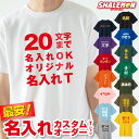 名入れ Tシャツ オリジナル おもしろ 1枚から オーダー 文字入れ デザイン 自由 文字入れ OK カスタム 選べる カラー フォント コットン ドライ クラスT 父の日 誕生日 記念品 同窓会 スタッフ クラブ 部活 推し活 ライブ イベント 学校 オーダーメイド 対応 まとめ買い