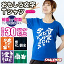 おもしろ Tシャツ レディース ウィメンズ ( 筆文字 選べる カラー × デザイン ) 半袖 レディース 夏 面白 T 名言 ジョーク ネタ ダイエット お笑...