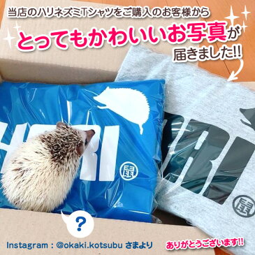 ハリネズミ　おもしろ　Tシャツ 【選べる2柄×8色】 メンズ レディース キッズ 誕生日 プレゼント 雑貨 【楽ギフ_包装】グッズ ケージ ぬいぐるみ 寝袋 ハウス 文房具 床材 かわいい 赤ちゃん