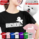 おもしろ tシャツ【 ビションフリー