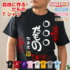 名入れ　おもしろ　tシャツ 【○○だもの】【選べるカラー＆ 名入れ ＆ 金印 】 プレ...